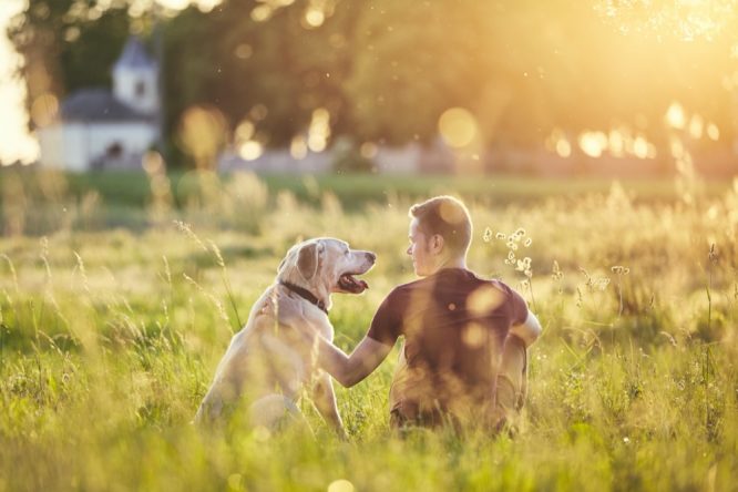 Rear view of young man with dog (labrador retriver) in nature at sunset.